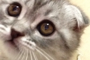 Ничто не предвещало перемен