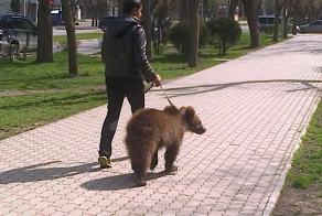 Только в России