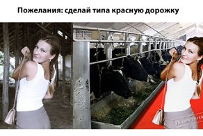 Отфотошопте меня! фотожабы - XXII