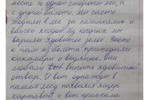 Детские записки и сочинения