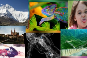 Известные факты, которые вводят нас в заблуждение