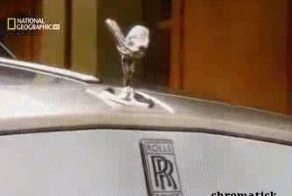 GIF Ассорти