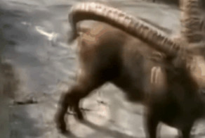 Лучшие приколы #1