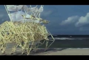 Приколист из Голландии!