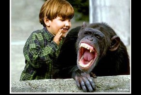 Смейся каждый день и проживёшь на двадцать лет дольше