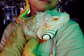 Кафе с экзотическими животными в Ханое