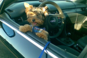 Познакомился с девушкой сегодня