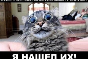 Котяка наркотяка ))