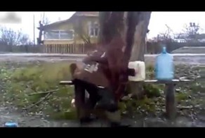 Деревенская артиллерия