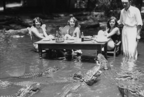 Ферма аллигаторов в Лос-Анджелесе 1920-х годов