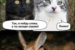 Смешные комиксы