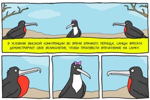 Все, как у людей...