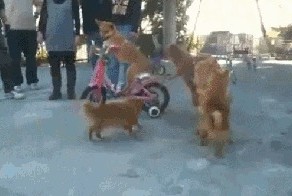 Вот это номер