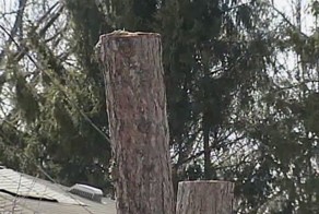 Не берите в руки бензопилу, если не умеете ей пользоваться