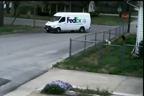 Что то пошло не так