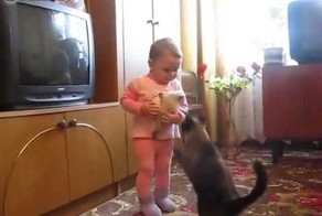 Кошка спасает котёнка от ребёнка