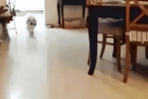 Не подрасчитал