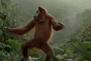 Танцуют все!