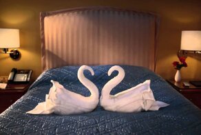 лебеди и тихий час