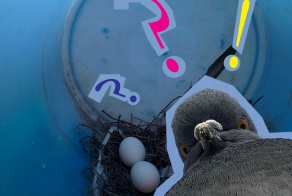 Заметки натуралиста