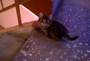 Любое доброе дело улучшает карму