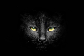 Фотоподборка. Лучшие фотографии за прошедшую неделю.