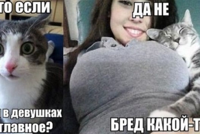 Фишкина солянка за 07.04.2014