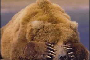 НАТО не стоит будить русского медведя