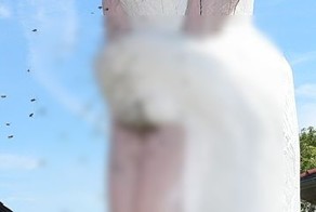 Скульптура с сюрпризом