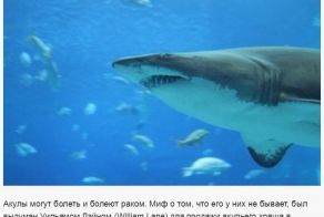Ложные научные утверждения