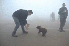 Аааа, я страшный медведь