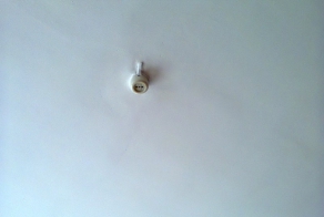 Розетка Сальвадора Дали