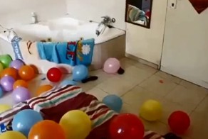 У собаки День рождения его мечты=)