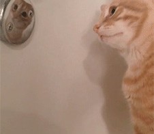 Это кто там такой красавчик?=)