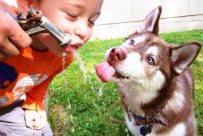 Фотоподборка за 10.04.2014