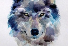 Рисуем волка акварелью. Оказывается это просто, попробуйте!