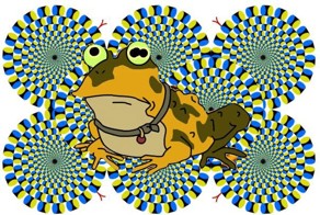 НЕ ВЕРЬ ГЛАЗАМ СВОИМ: ЛУЧШИЕ ЗРИТЕЛЬНЫЕ ИЛЛЮЗИИ