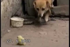 Забота о ближнем