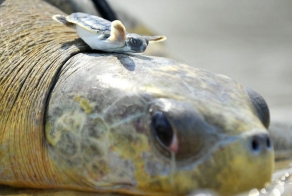 Фотоподборка за 11.04.2014