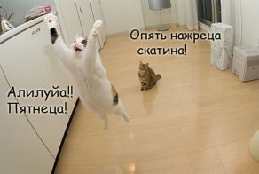 Операция "Пятница"!