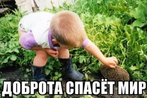 Фишкина солянка за 12.04.2014