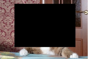 Космонавт Василий