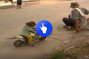 Стартуем! У меня есть джип