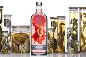 Самые необычные алкогольные напитки мира