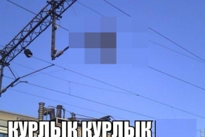 Типа голубь