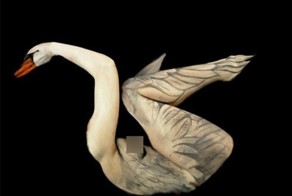 10 удивительных боди-принтов