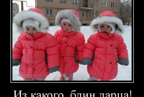 Демотиваторы