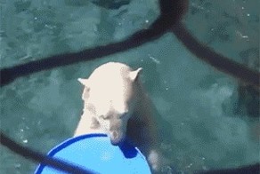 Мужик, у тебя синяя крышка есть? -Нету, -Тогда лови 