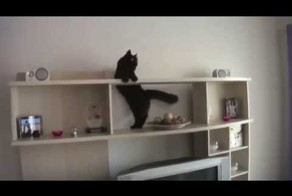 Миссия выполнима!