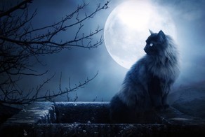 Интересные факты про Лунатиков. 